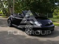 2013 Volkswagen BEETLE