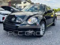 2013 Volkswagen BEETLE
