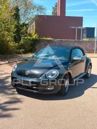 2013 Volkswagen BEETLE