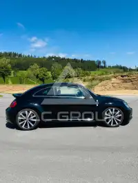 2013 Volkswagen BEETLE