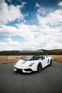2013 Lamborghini Gallardo