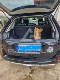 2013 Renault Koleos