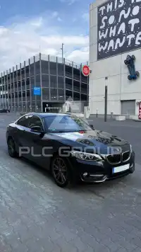 2014 BMW 220