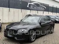2014 BMW 220
