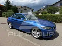 2014 BMW 225