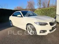 2014 BMW 225