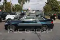 2014 BMW 225