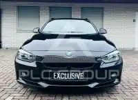 2014 BMW 316