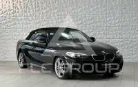 2014 BMW 228