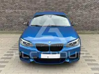 2014 BMW 235M
