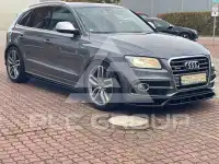 2014 Audi SQ5