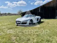 2014 Audi R8