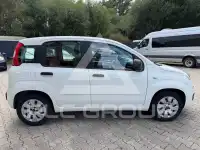 2014 Fiat Panda