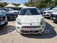 2014 Fiat Punto