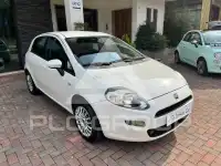 2014 Fiat Punto