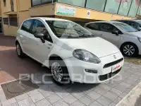 2014 Fiat Punto