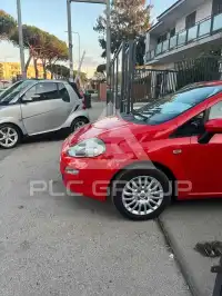 2014 Fiat Punto