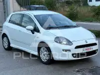 2014 Fiat Punto