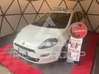 2014 Fiat Punto