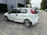 2014 Fiat Punto