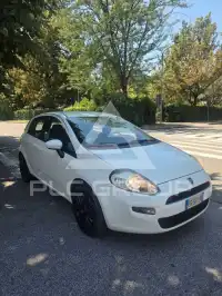 2014 Fiat Punto