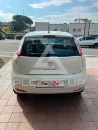 2014 Fiat Punto