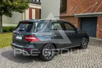 2014 Mercedes Benz ML 250