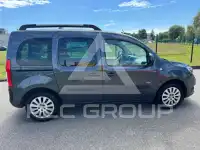 2014 Mercedes Benz Citan