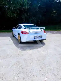 2014 Porsche Cayman