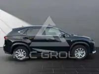 2014 Lexus NX300