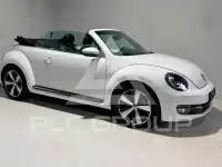 2014 Volkswagen BEETLE