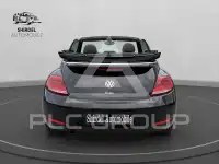 2014 Volkswagen BEETLE