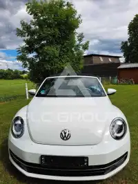 2014 Volkswagen BEETLE
