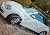 2014 Volkswagen BEETLE