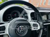 2014 Volkswagen BEETLE