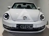 2014 Volkswagen BEETLE