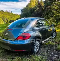 2014 Volkswagen BEETLE