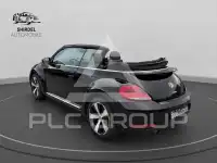 2014 Volkswagen BEETLE