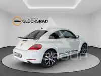 2014 Volkswagen BEETLE