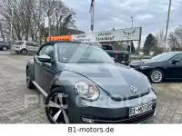2014 Volkswagen BEETLE