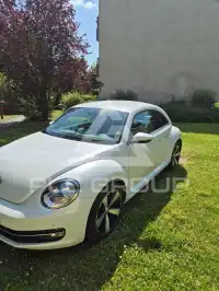 2014 Volkswagen BEETLE