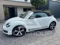 2014 Volkswagen BEETLE