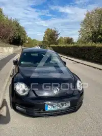 2014 Volkswagen BEETLE