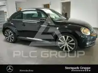 2014 Volkswagen BEETLE