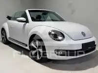 2014 Volkswagen BEETLE