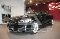 2015 BMW 220