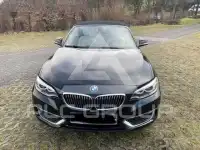 2015 BMW 220