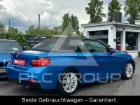 2015 BMW 220