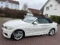 2015 BMW 220