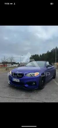 2015 BMW 220